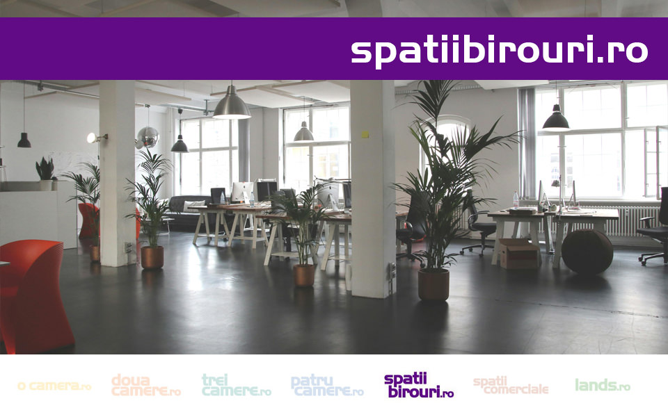 Screenshots of spatiibirouri.ro